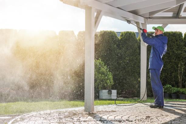 Best Driveway Pressure Washing  in Malmstrom Af, MT